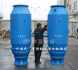 下吸式可移动型潜水泵轴流泵
