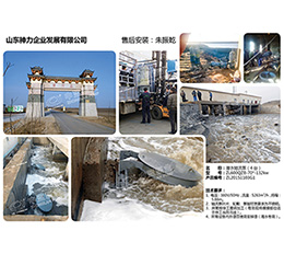 山东神力企业发展有限公司