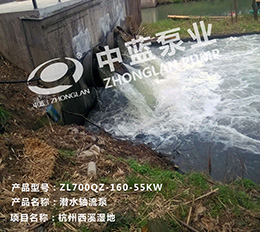 杭州西溪湿地 图二