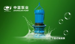 立式轴流泵的特点、基本结构及安装方法