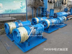 潜水轴流泵厂家-混流泵6种常见故障处理办法