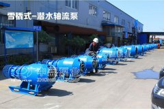 潜水电泵的种类